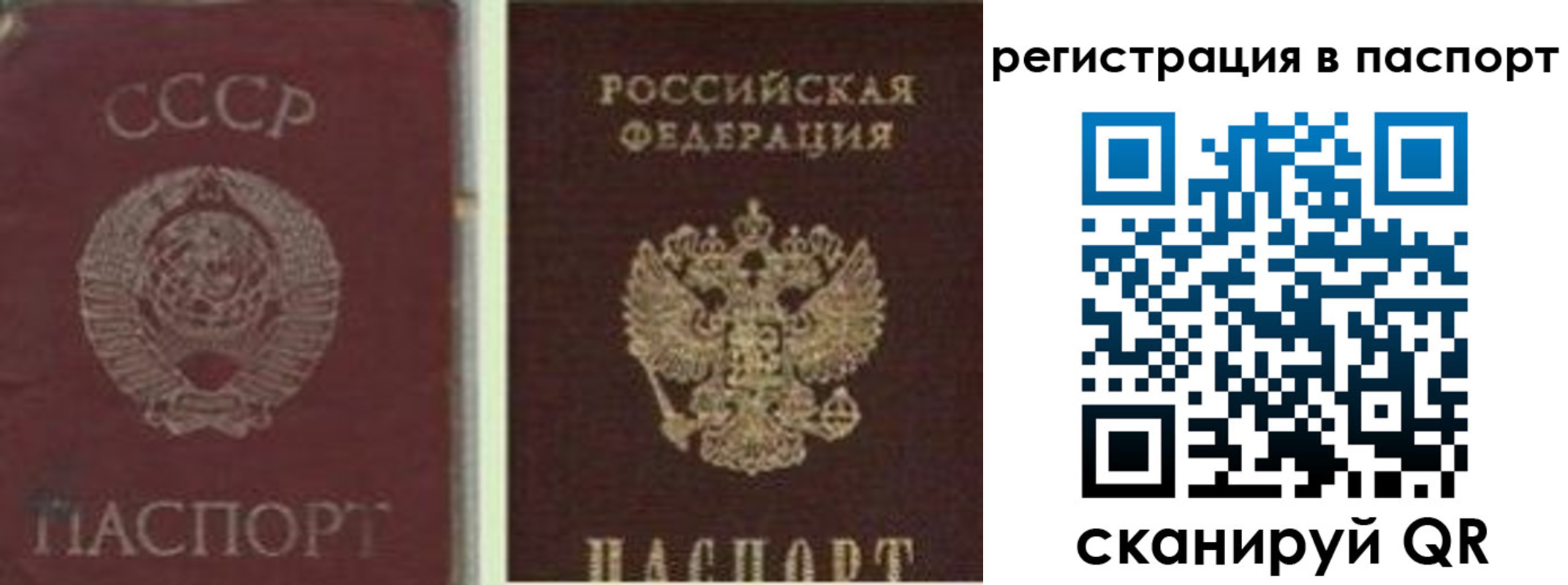 прописка для работы в Гагарине